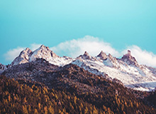 开云体育APP：开启你的极速体育体验之旅